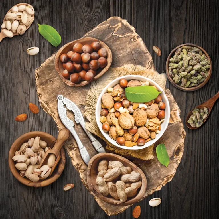 طراحی سایت آجیل